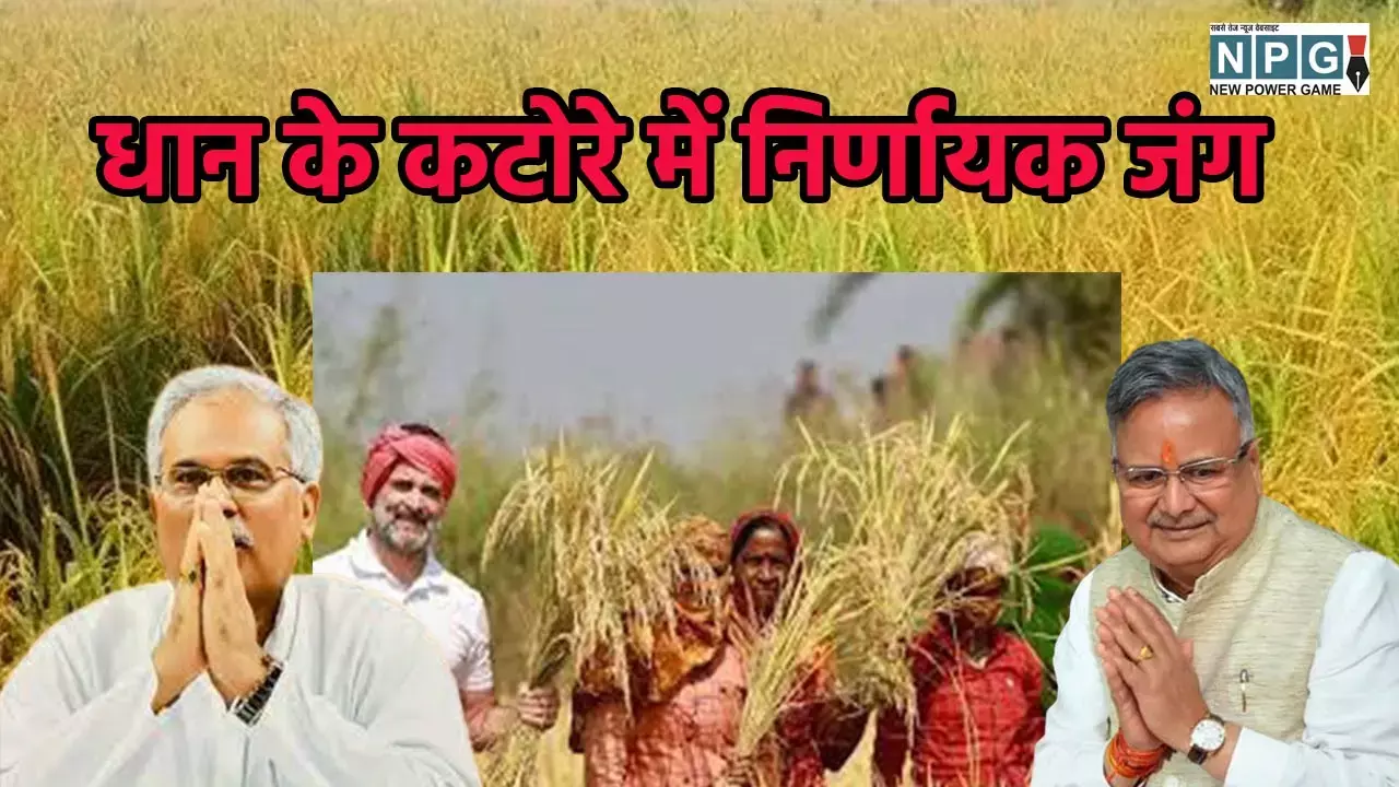 Chhattisgarh Assembly Election 2023: धान के कटोरे में निर्णायक जंग: धान उत्पादक 50 सीटें तय करेंगी...किसका होगा राजतिलक