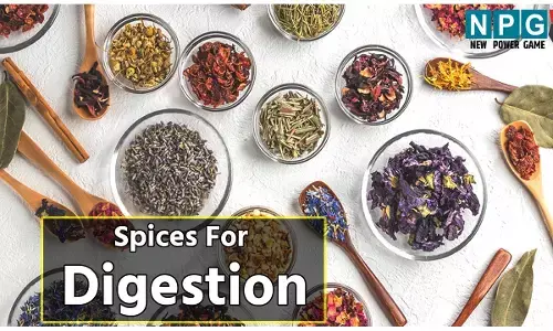 Spices For Digestion: रायते में छिड़क लें ये मैजिक मसाला, जानिए पेट की समस्याओं से छुटकारा पाने मसालों का कैसे करें इस्तेमाल...
