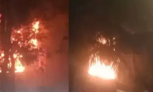 Mumbai Fire News: मुंबई की एक इमारत में आग लगी, 95 साल की महिला की मौत