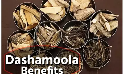 Dashamoola Benefits: 10 जड़ी-बूटियों से बनने वाला दशमूल आर्थराइटिस की है रामबाण, महिलाओं के लिए भी कमाल की...