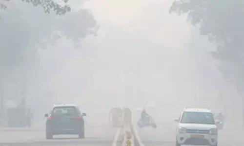 Delhi News: वायु प्रदूषण को लेकर ज्यादा चिंतित ग्रामीण भारतीय