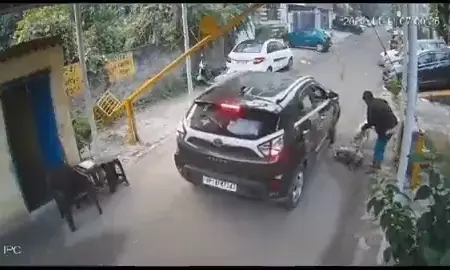 Ghaziabad Viral Video: सोसाइटी से निकलते समय कार ने पालतू कुत्ते को कुचला, हुई मौत, एफआईआर दर्ज