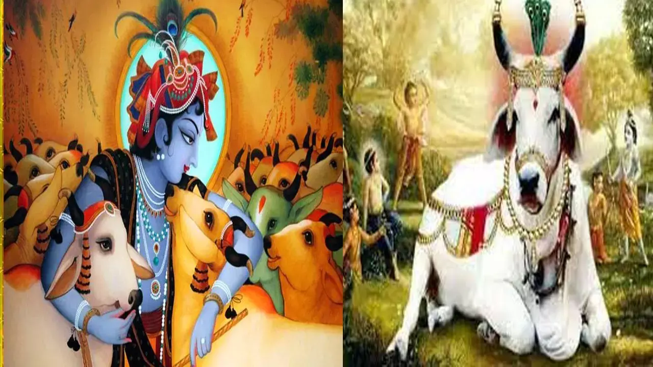 Gopashtami-2023:कुंडली दोष या धन की कमी के लिए, इस दिन करें ये उपाय, जानिए इस दिन का धार्मिक महत्व