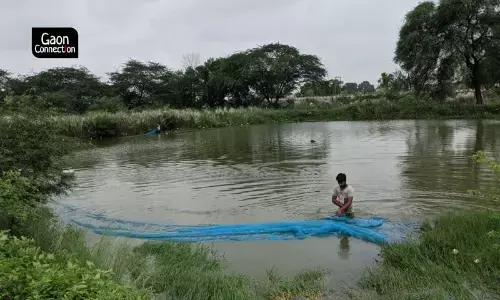 Inland Fisheries News: अंतरदेशीय मछली पालन में उत्तर प्रदेश का नाम सबसे ऊपर