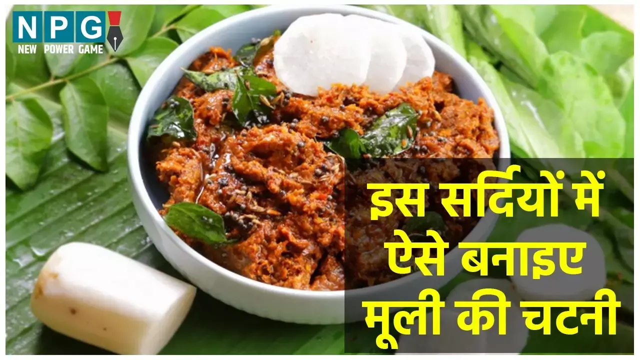 Radish Chatni Recipe: सर्दियों में बनाइए मूली की चटनी, रोज़ के खाने में जुड़ेगा नया स्वाद, इम्यूनिटी भी बढ़ेगी...