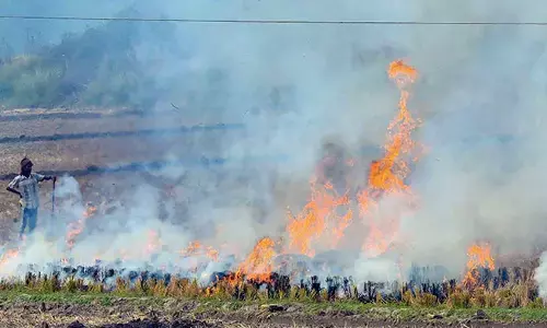 पराली जलाने वालों को आर्थिक लाभ और MSP से वंचित कर वसूला जाये जुर्माना