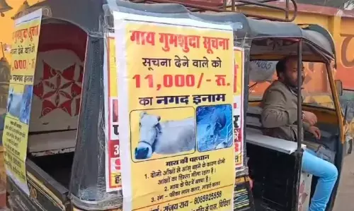 Vidisha Cow Case: MP में गाय हुई चोरी तो मालिक ने लगाए शहर भर में पोस्टर, नगद इनाम की घोषणा