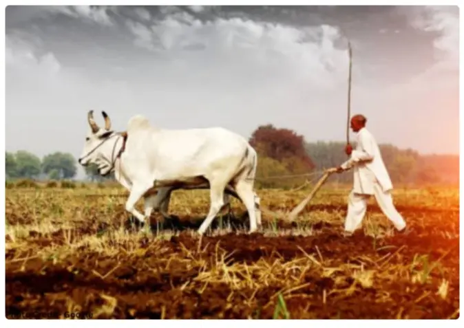 महाराष्ट्र के हिंगोली में अपनी किडनी, गुर्दा और आँखें बेचने को मजबूर हो रहे किसान