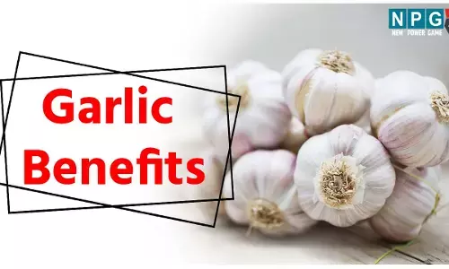 Garlic Benefits: सर्दियों में लहसुन के सेवन के हैं अनेक फायदे, रोज़ 2 कली लहसुन खाने की हैबिट बचाएगी इन समस्याओं से...