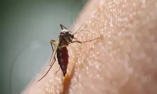 CG हेल्थ न्यूज़: मलेरियामुक्त अभियान में 15.92 लाख लोगों की होगी जांच, बस्तर संभाग के सात जिलों में चलेगा अभियान...