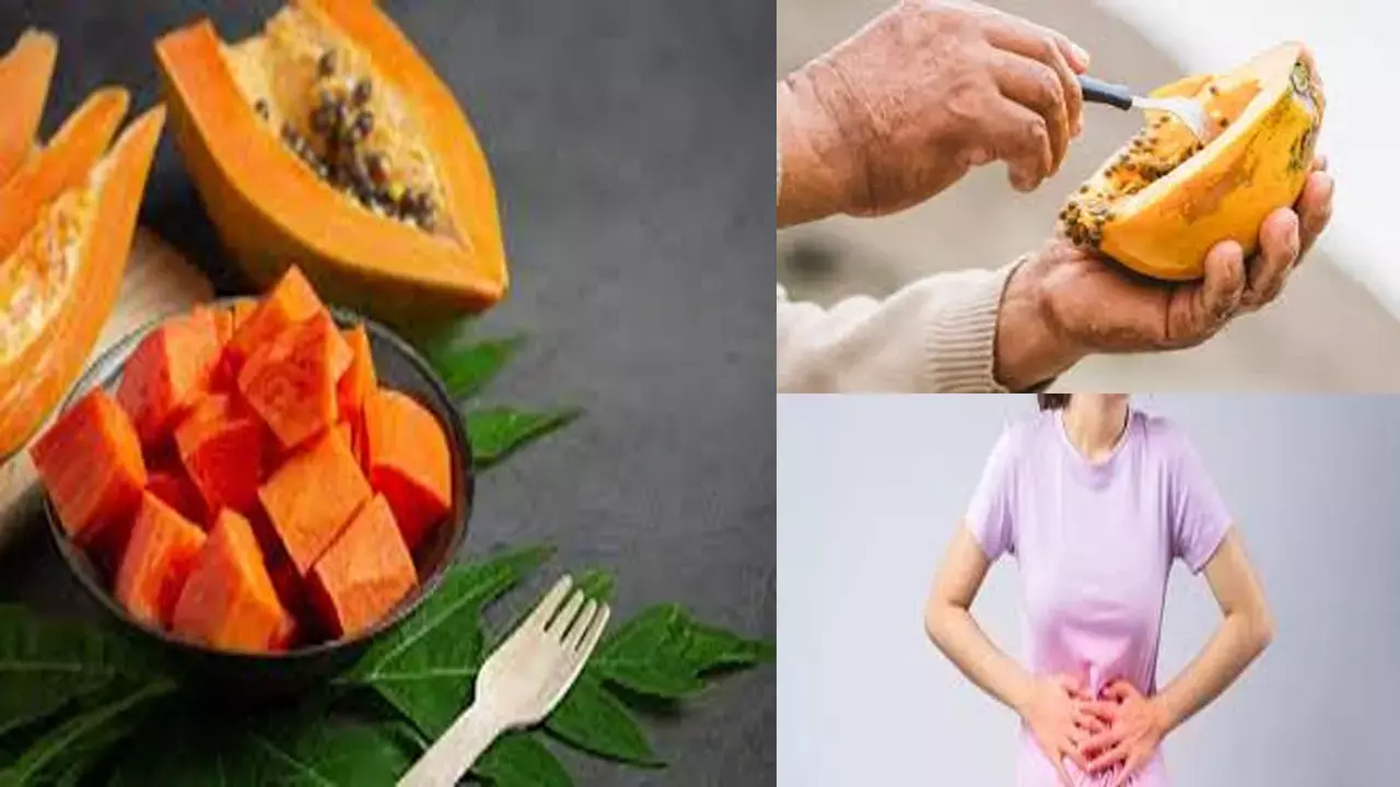 Evergreen Papita: एवरग्रीन पपीता का कैसे करें सेवन, जानिए सेहत के लिए कैसे है रामबाण और इसके अनगिनत फायदे