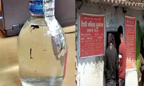CG-देशी शराब में कीड़ा: आबकारी विभाग की बड़ी कार्यवाही, शराब बनाने वाली डिस्टलरीयों पर 2.76 करोड़ का जुर्माना