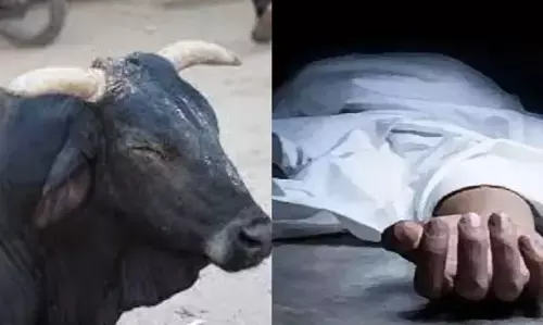 Badaun News: सांड के हमले से बचने के लिए तालाब में कूदा किसान, गहरे पानी में डूबने से हो गई मौत