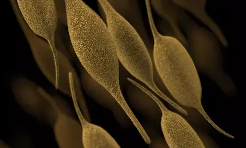 Union Ministry of Health and Family Welfare: माइकोप्लाज्मा निमोनिया को लेकर मीडिया रिपोर्ट में गलत जानकारी पर स्वास्थ्य मंत्रालय का बड़ा बयान