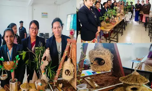 Pt. Harishankar Shukla Memorial College: पं. हरिशंकर शुक्ल स्मृति महाविद्यालय में घोंसला बनाओ प्रतियोगिता का आयोजन...