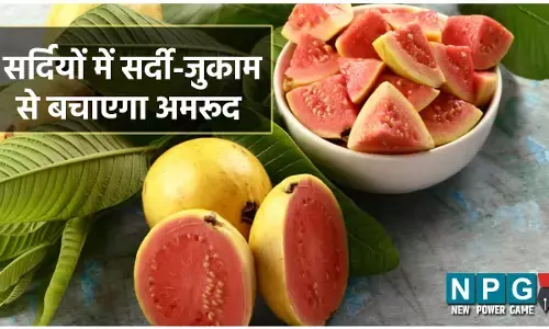 Guava Benefits: सर्दियों में सर्दी-जुकाम से बचाएगा अमरूद, दिल को भी दुरुस्त रखेगा, ज़रूर खाइये ये सीज़नल फ्रूट...