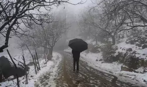 Jammu Kashmir Weather: श्रीनगर में दर्ज की गई सबसे ठंडी रात, माइनस 4.8 डिग्री तक लुढ़का तापमान
