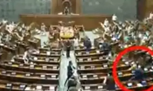 Lok Sabha: लोकसभा की सुरक्षा में बड़ी चूक, दर्शक दीर्घा से कूद गए दो व्यक्ति... कार्यवाही स्थगित