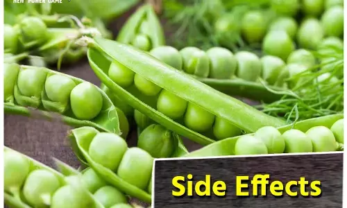 Side Effects of Green Peas: धूप में बैठै-बैठे हरी मटर खा-खाकर लगा रहे हैं छिलकों के ढेर... ? सावधान! हो सकती हैं ये परेशानियां...
