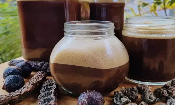 Homemade Herbal Shampoo: केमिकल वाले शैम्पू को कह दीजिए बाय बाय, ये होममेड हर्बल शैम्पू बनायेंगे बालों को घना और लम्बा