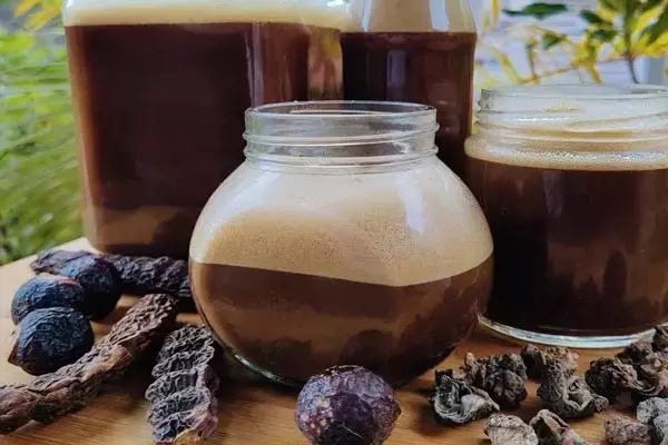 Homemade Herbal Shampoo: केमिकल वाले शैम्पू को कह दीजिए बाय बाय, ये होममेड हर्बल शैम्पू बनायेंगे बालों को घना और लम्बा