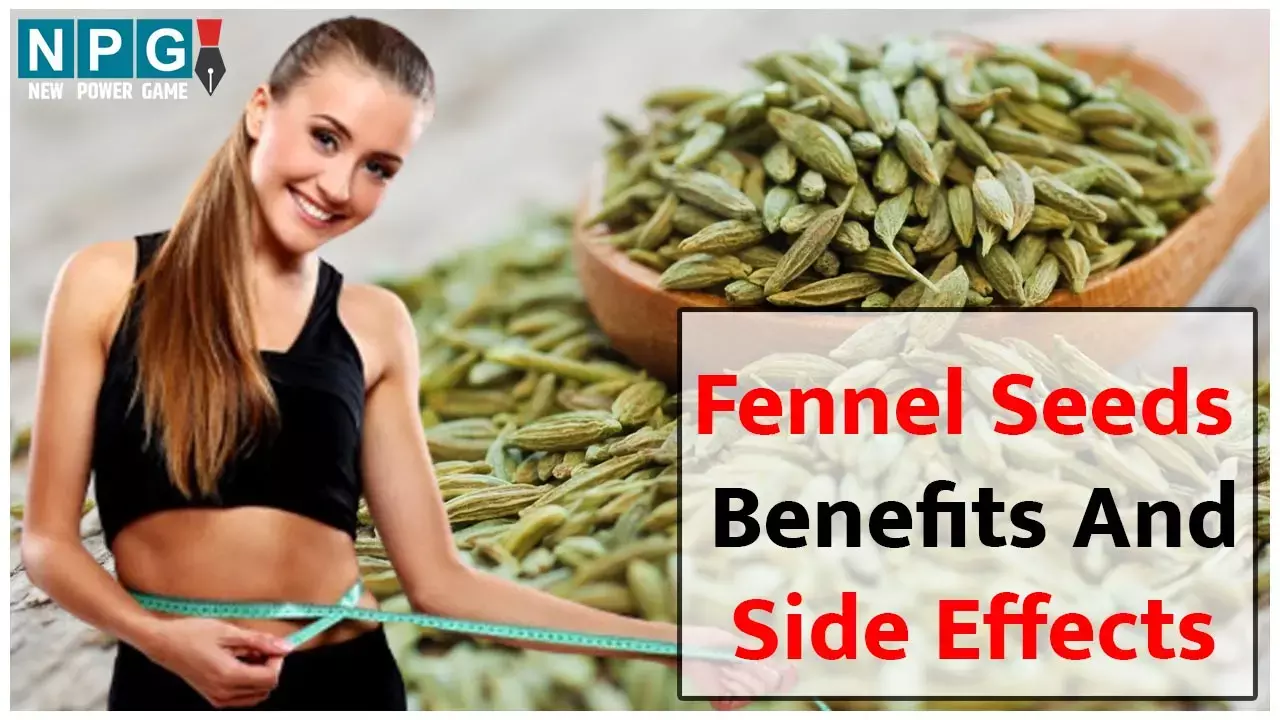 Fennel Seeds Benefits And Side Effects: सौंफ पाचन और मुखशुद्धि के लिए बेहतरीन, महिलाओं की मासिक धर्म की पीड़ा को करता है कम...