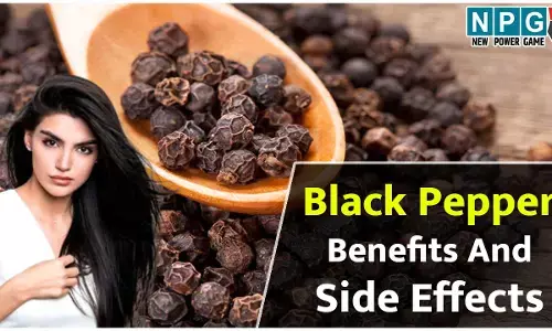 Black Pepper Benefits And Side Effects: काली मिर्च से मिलेगी सर्दी-खांसी से राहत, इसके दानों में छुपा है बवासीर और इंफर्टीलिटी जैसी जटिल समस्याओं का इलाज...