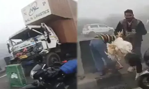 Agra Road Accident: सड़क पर मुर्गी की लूट: कोहरे के कारण डेढ़ दर्जन वाहन आपस मे भिड़े, पोल्ट्री वाहन में मची लूट...