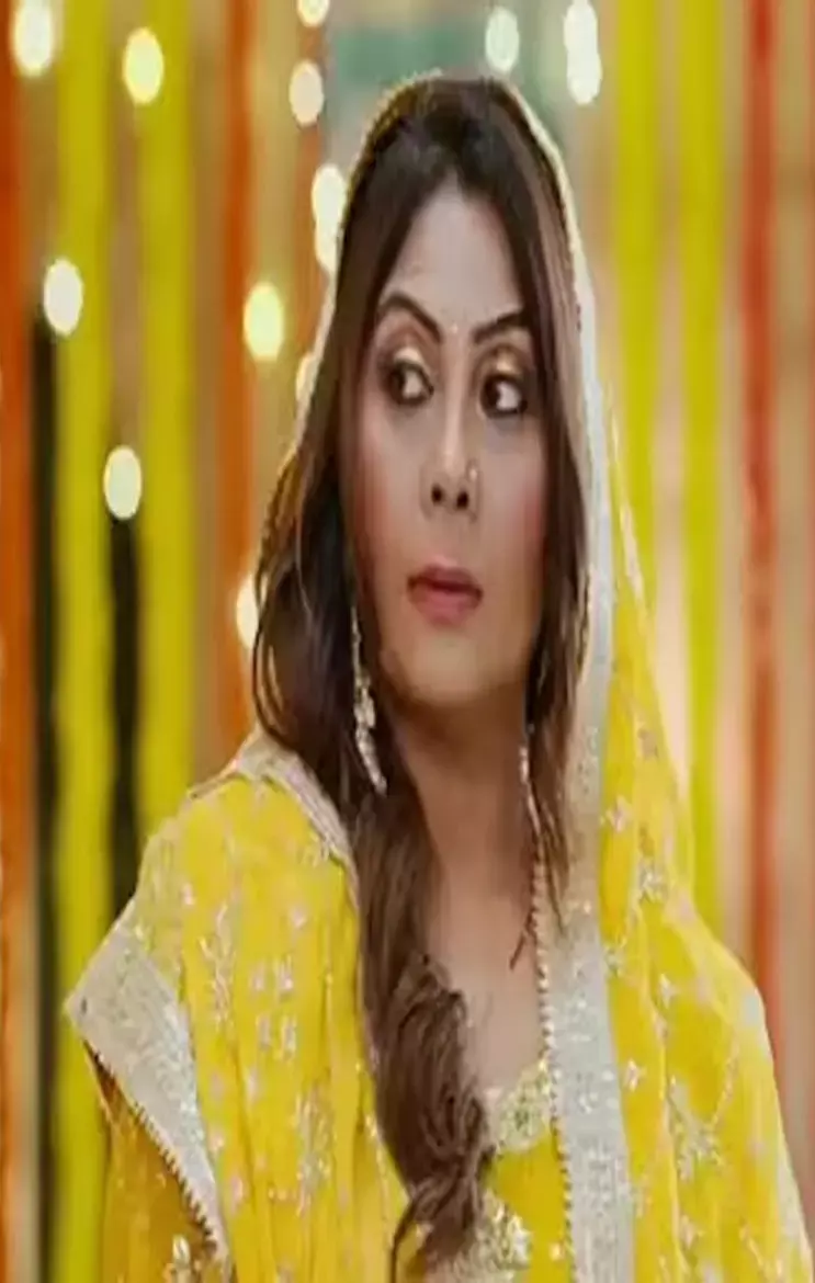 Dalchini 29 December Episode: तेज छोड़ देगा ढिल्लों हाउस, कला और राजरानी रचेगी नई साजिश