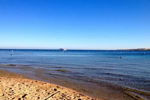 अमेरिकी नौसेना ने लाल सागर में उसके दस लड़ाकों को मार डाला : यमन का हौथी समूह