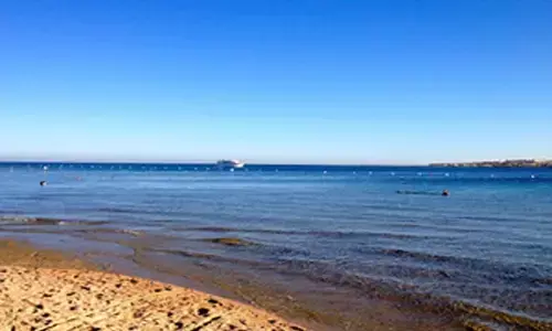 अमेरिकी नौसेना ने लाल सागर में उसके दस लड़ाकों को मार डाला : यमन का हौथी समूह