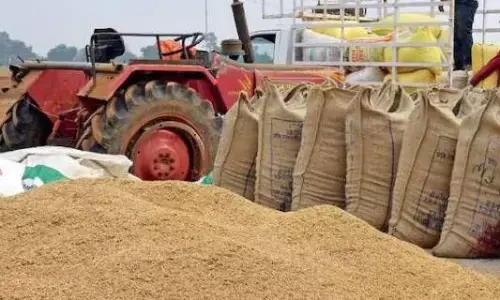 Paddy Procurement: समर्थन मूल्य पर धान की बिक्री और कोचियों की करामात, अब तक 44 लाख रुपये का धान जब्‍त