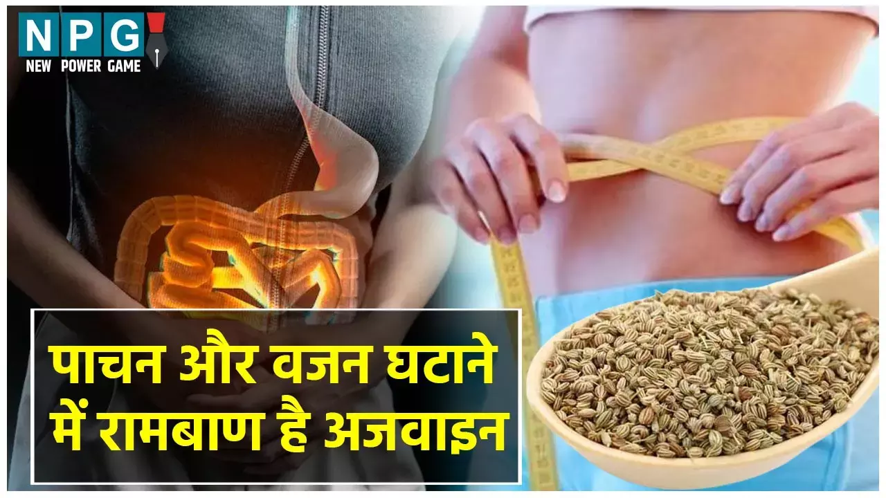Ajwain Benefits And Side Effects: पाचन और वजन घटाने में रामबाण है अजवाइन, महिलाओं की माहवारी में भी देता है राहत, पढ़िए और क्या हैं फायदे...