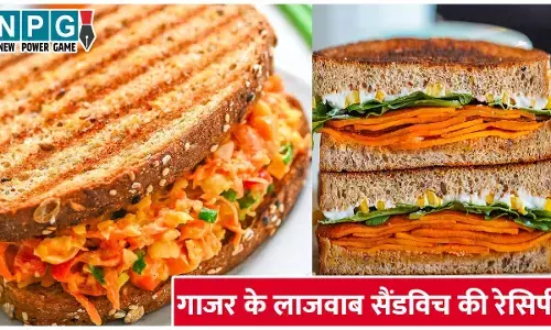 Carrot Sandwich Recipe: सर्दियों की शाम में गाजर के लाजवाब सैंडविच का मज़ा लीजिए, यूनीक टेस्ट सबको आएगा खूब पसंद...