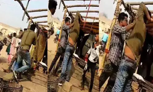 बिलासपुर में आरक्षक की लाठी-डंडे से जमकर पिटाई, कॉन्स्टेबल छोड़ देने की विनती करता रहा, महिला और युवक पीटते रहे....