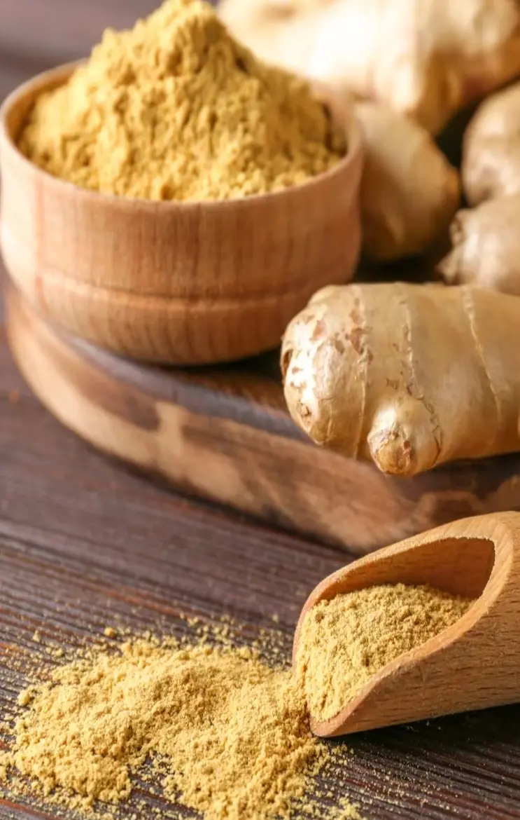 Saunth Health Tips: चुटकियों में सौंठ से मिलेगी इन समस्याएं से राहत, वेट लाॅस समेत जानिए और क्या है इसके फायदे...