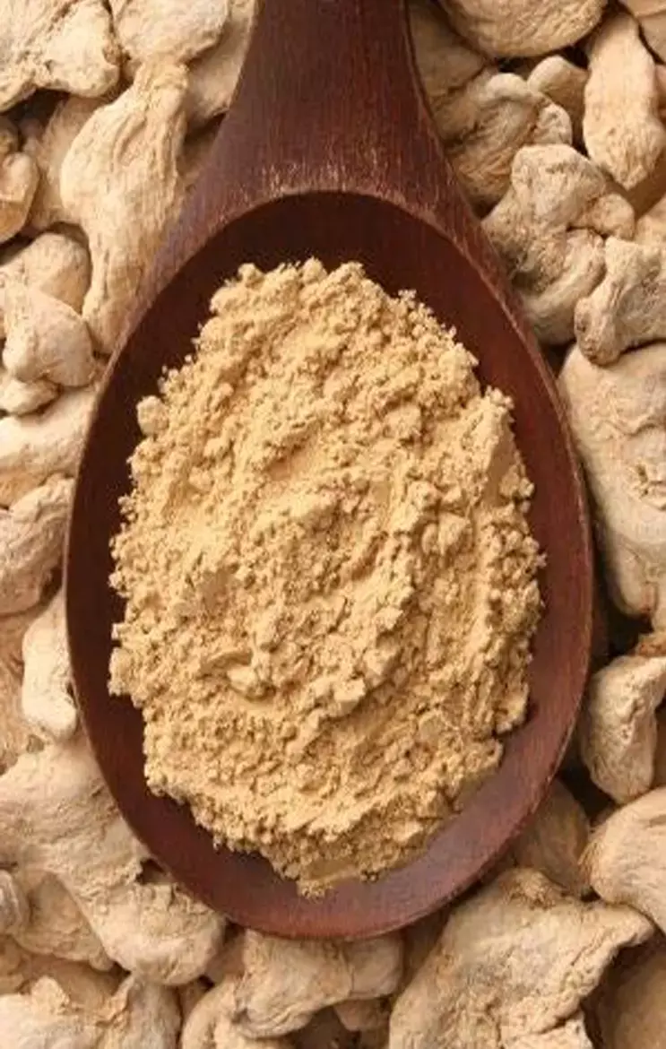 Saunth Health Tips: चुटकियों में सौंठ से मिलेगी इन समस्याएं से राहत, वेट लाॅस समेत जानिए और क्या है इसके फायदे...