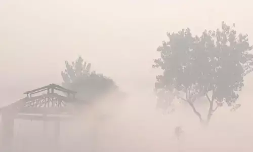 Rajasthan News: राजस्थान में शून्य के पास पहुंचा तापमान, 13-14 जनवरी को बारिश की संभावना