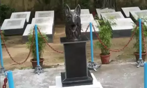 Dog Canal: ये है कुत्तों का इकलौता स्मारक, जहां बहादुर-वफादार कुत्तों की मौत के बाद सम्मानपूर्वक किया जाता है दफन...