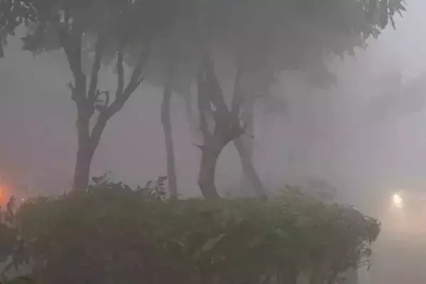 Bihar Weather Update: बिहार में 20 जनवरी तक नहीं मिलेगी ठंड से राहत, इन जिलों में आज बारिश की संभावना