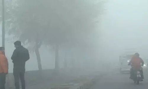 UP Weather Update: शीतलहर की चपेट में पूरा शहर, ठंड से हुआ हाल बेहाल, बढ़ाई गयी स्कूलों की छुट्टी