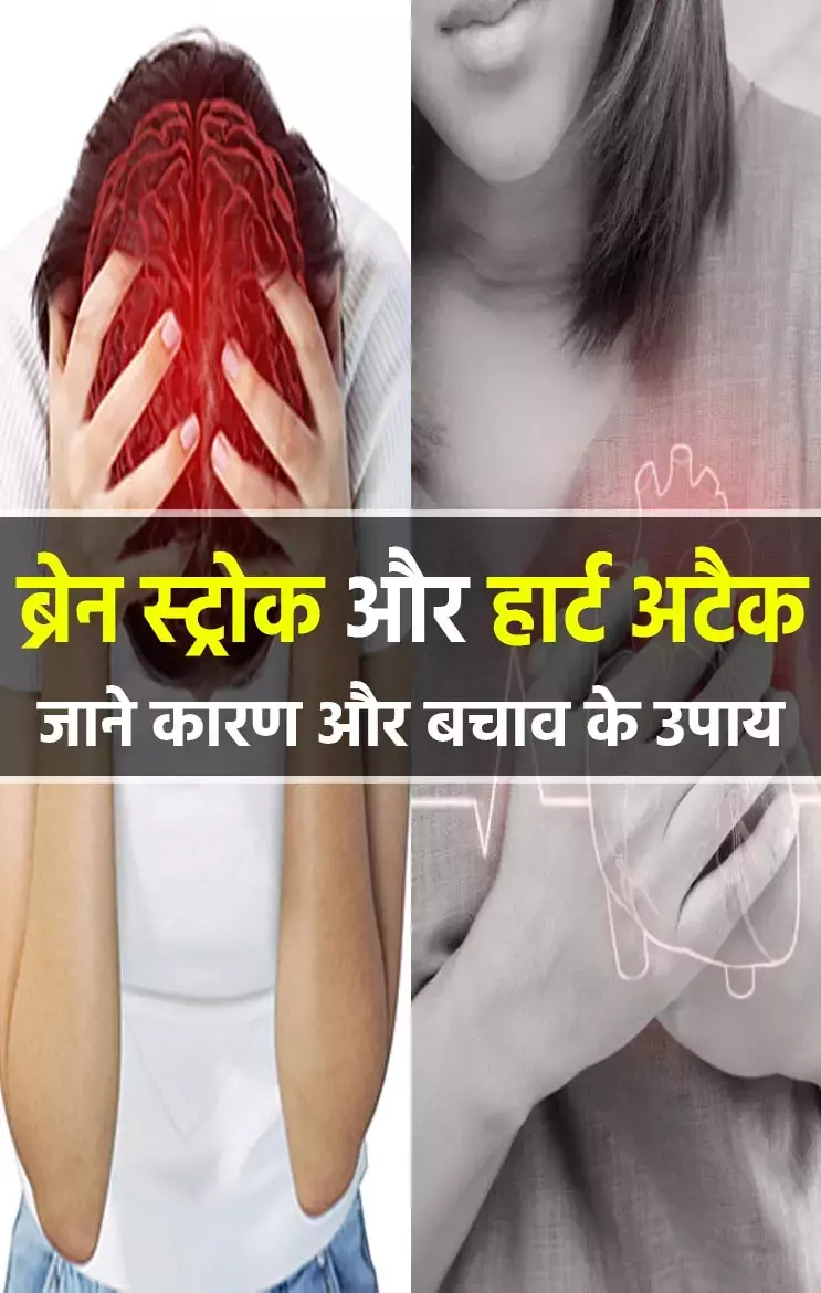 Brain Stroke-Heart Attack: जानिए ये 4 धांसू उपाय, ब्रेन स्ट्रोक और हार्ट अटैक के खतरे को कहेगी टाटा - बाय बाय...