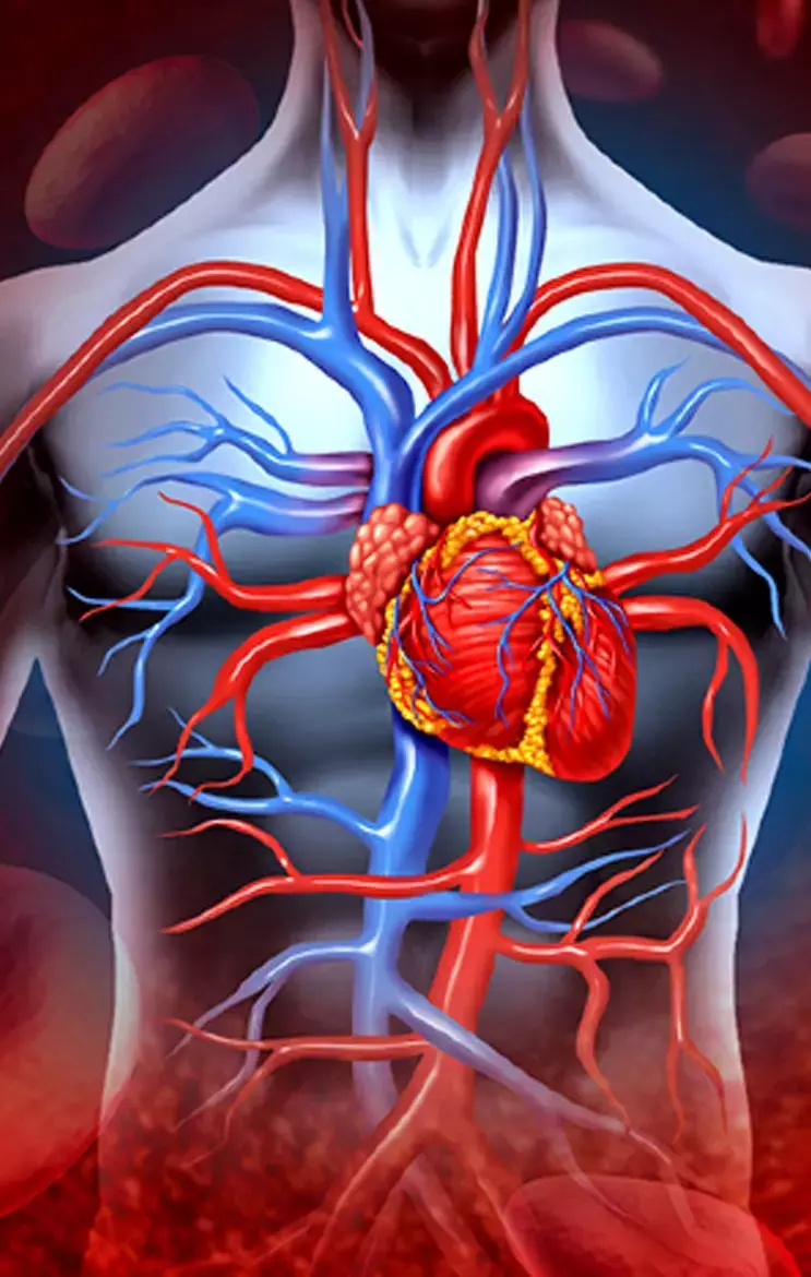 Brain Stroke-Heart Attack: जानिए ये 4 धांसू उपाय, ब्रेन स्ट्रोक और हार्ट अटैक के खतरे को कहेगी टाटा - बाय बाय...
