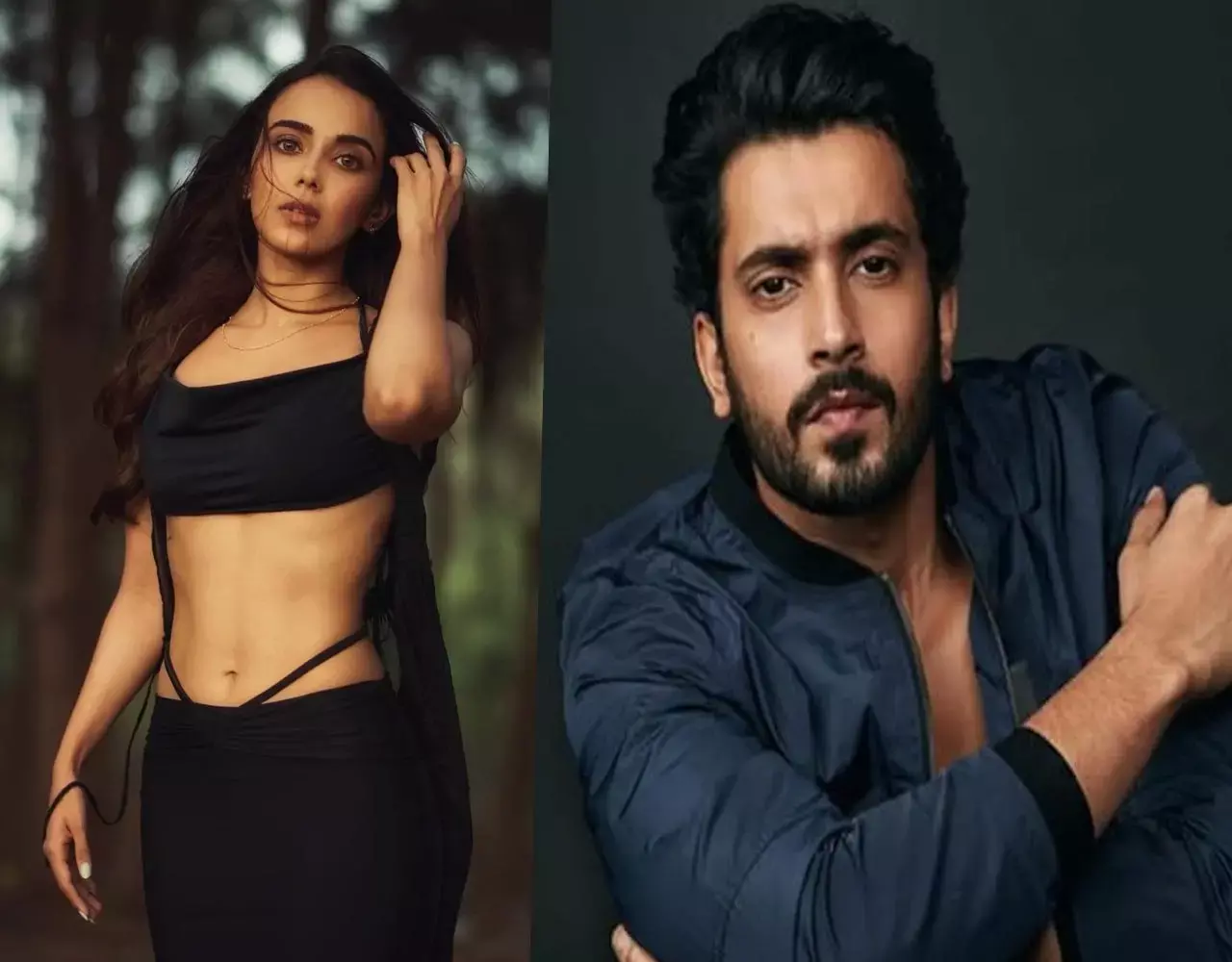Sunny Singh-Monica Chaudhary News: सनी सिंह स्टारर फिल्म रिस्की रोमियो में मोनिका चौधरी निभाएंगी अहम भूमिका...