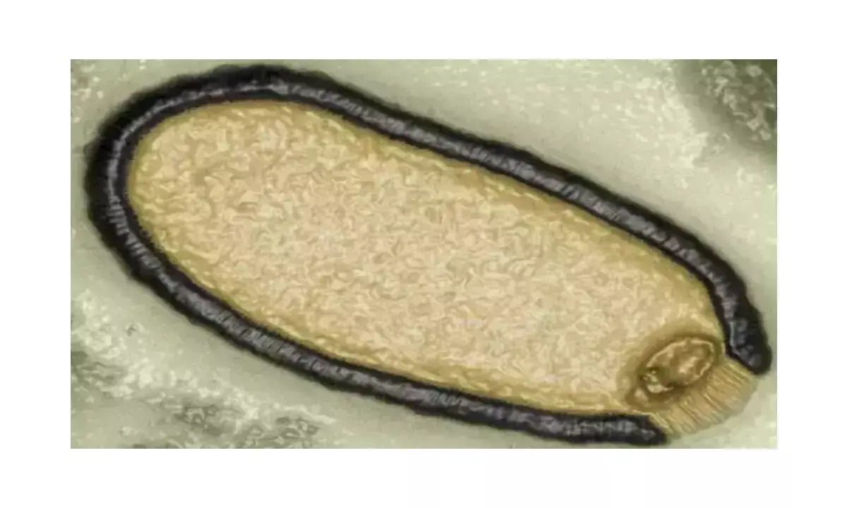 Ancient Zombie virus News: साइबेरिया में जमे प्राचीन जॉम्बी वायरस से नई महामारी फैलने का डर