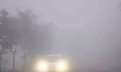 Rajasthan Weather Update: राजस्थान में घने कोहरे का अलर्ट, प्रदेश में हल्की बारिश की भी संभावना