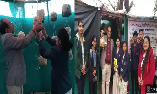 Pt. Harishankar Shukla Memorial College: पं. हरिशंकर शुक्ल स्मृति महाविद्यालय में आयस्टर मशरूम का प्रशिक्षण...