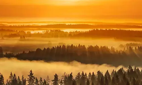 29 February 2024 daily Panchang In Hindi:- :-आज 29 फरवरी 2024 गुरुवार  का दिन कैसा मुहूर्त रहेगा, देखें NPG पर दैनिक पंचांग