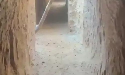 Naxalite Tunnel In Bastar: बस्तर में यहां छिपे रहते हैं नक्सली लीडर: देखें नक्सलियों की सुरंग का ये वीडियो