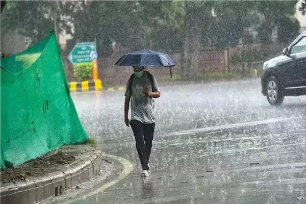 UP Weather News : एनसीआर में बारिश जारी, शुक्रवार को घना कोहरा छाने की संभावना